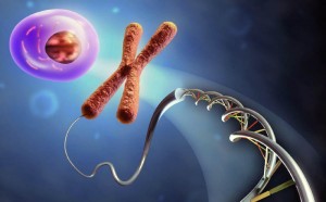 Интересные факты о молекулах ДНК