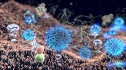 Вирусы — живые существа или мёртвая материя?
